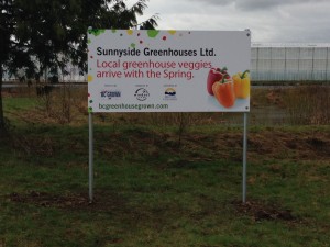 Coloured Horizontal Sunnyside Greenhouses Ltd. Sign Street View
