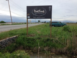 Coloured Horizontal Back Roads Sign Street View